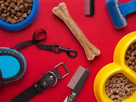 Pet S/A: produtos e acessórios para seu animal