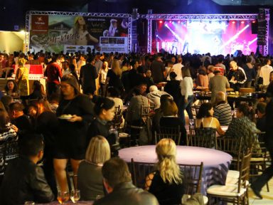 Grupo Sueds patrocina Festa de Encerramento com tema havaiano na 22ª Feira de Turismo Avirrp 2018