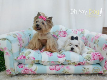 PET South America traz universo de novidades para profissionais dos setores pet e veterinário