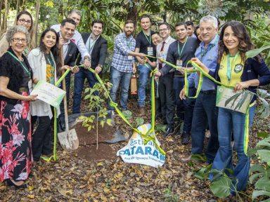 Sustentabilidade: Festival das Cataratas vai receber Selo Sesi ODS pelo terceiro ano consecutivo