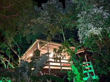 Pirenópolis ganha primeira casa na árvore para hospedagem