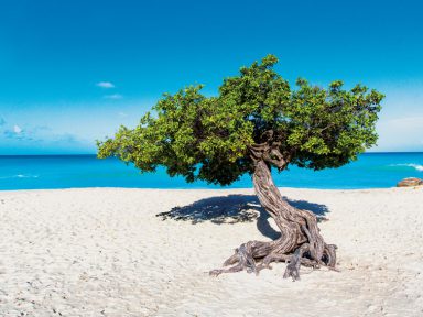 Aruba, a ilha mais feliz do mundo, leva alegria para toda a América Latina no Dia Internacional da Felicidade