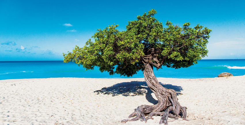 Aruba, a ilha mais feliz do mundo, leva alegria para toda a América Latina no Dia Internacional da Felicidade