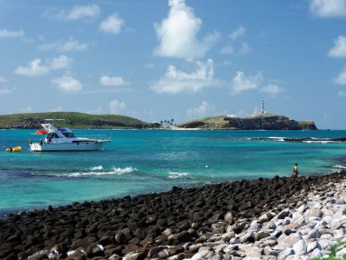 Mergulhar em Abrolhos