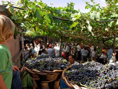 Vinho Madeira: uma bebida tão incrível que tem até seu próprio festival