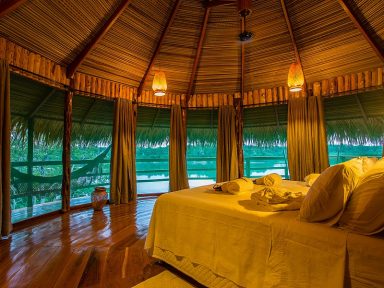 Como conhecer a selva amazônica sem deixar o conforto de lado