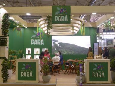 Espaço Green & Experience e a sustentabilidade serão destaques no 33º Festuris