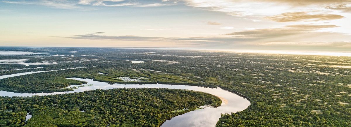 Do Pantanal à Amazônia, pluralidade do Brasil estará representada no Festuris