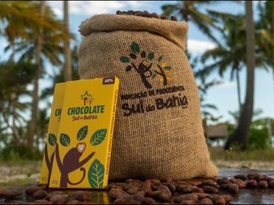 QR Code em chocolate baiano garante procedência do cacau e valoriza produtor