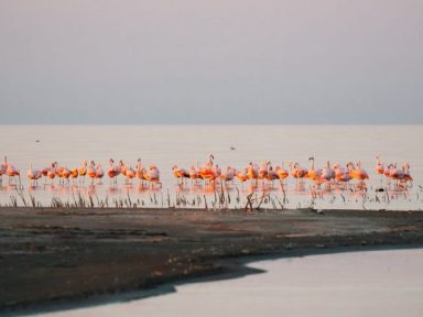 CINCO ATIVIDADES PARA FAZER NO PARQUE NACIONAL ANSENUZA