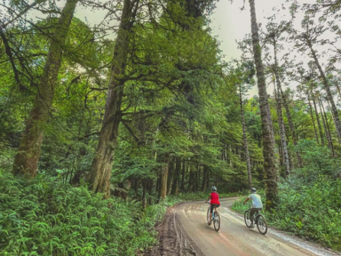 Passeios de bike se consolidam em Monte Verde (MG) e ajudam a alavancar turismo ecológico no destino