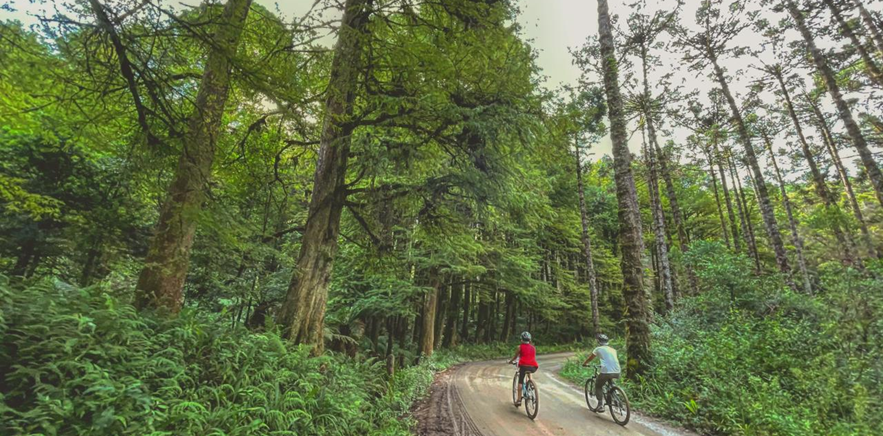 Passeios de bike se consolidam em Monte Verde (MG) e ajudam a alavancar turismo ecológico no destino