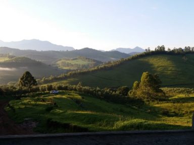 Olivoturismo na Serra da Mantiqueira
