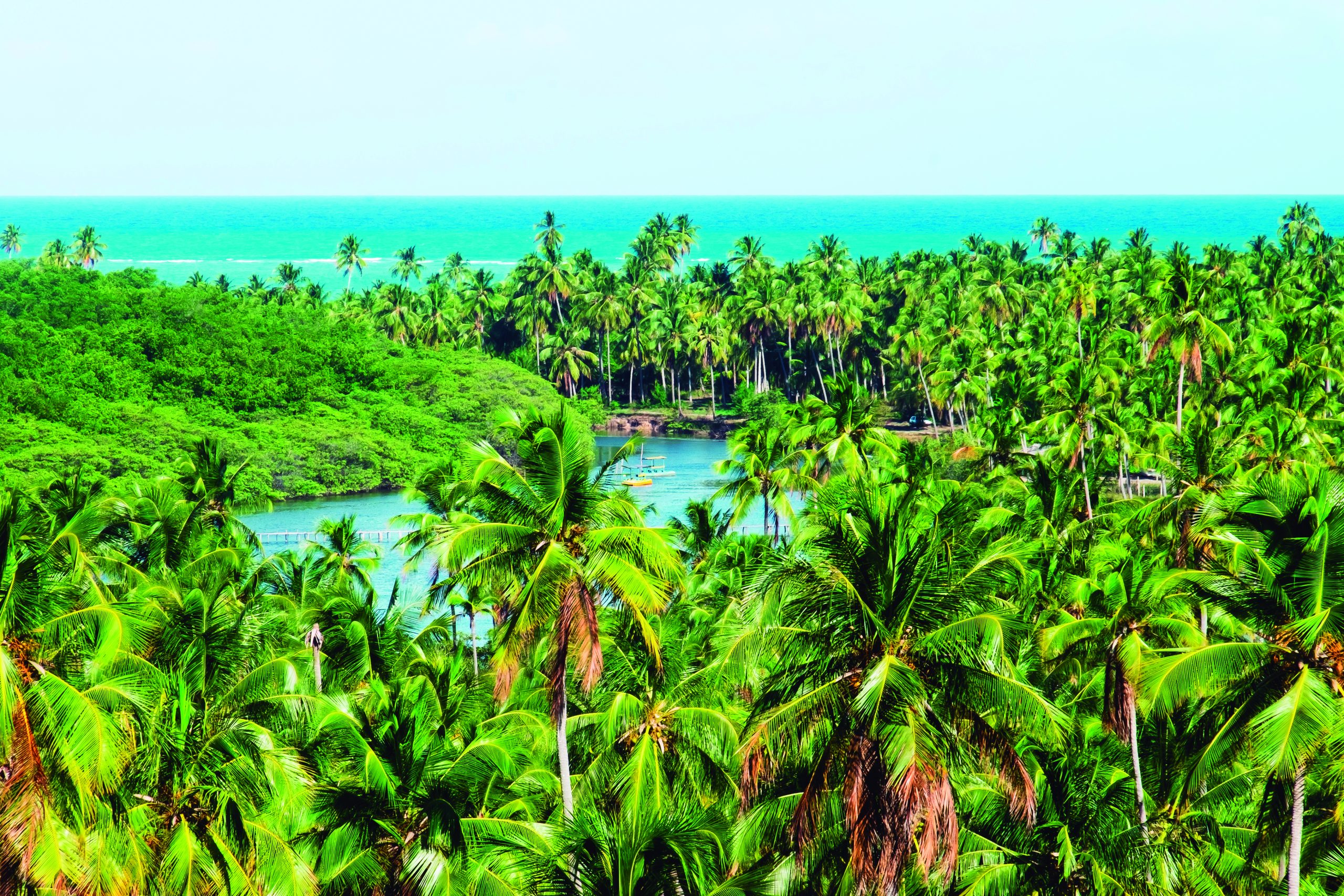 ALAGOAS O CARIBE QUE FALA PORTUGUÊS!