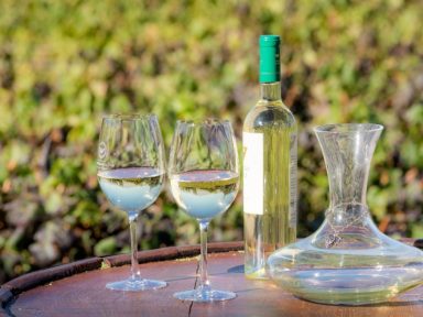 Salta celebra a Semana do Torrontés de Altitude de 9 a 16 de outubro com degustações, capacitações, visitas guiadas a bodegas, shows de música folclórica e promoções especiais na Cidade de Salta, Cafayate e outros municípios.