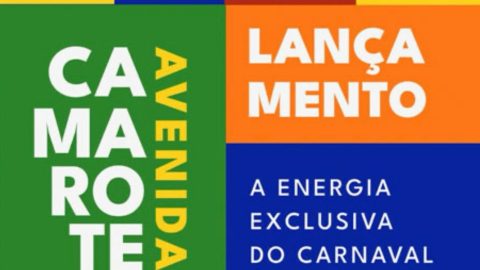 Folia com Sustentabilidade e Inclusão Social no carnaval 2024 de São Paulo: Camarote Avenida Promove Revolução ESG no Anhembi