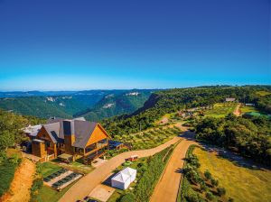 Olivas de Gramado recebe Abertura Oficial da Colheita da Oliva 2024