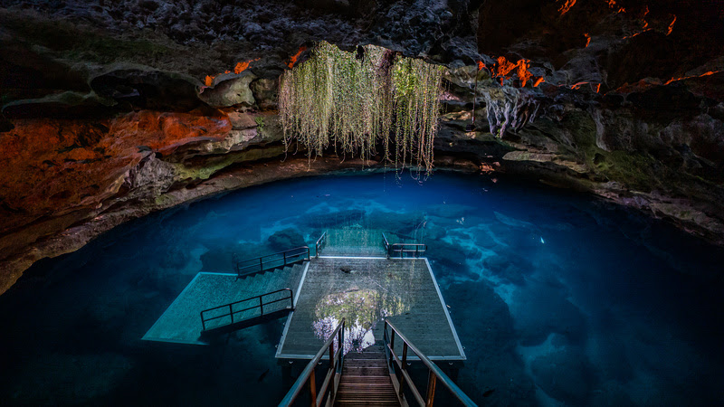 9 destinos na Flórida para explorar o universo subaquático