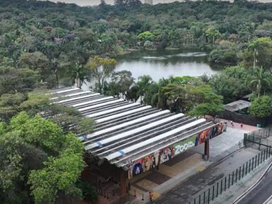 Zoológico e Jardim Botânico de SP terão entrada gratuita nesta quinta-feira (5) em comemoração ao Dia Mundial do Meio Ambiente