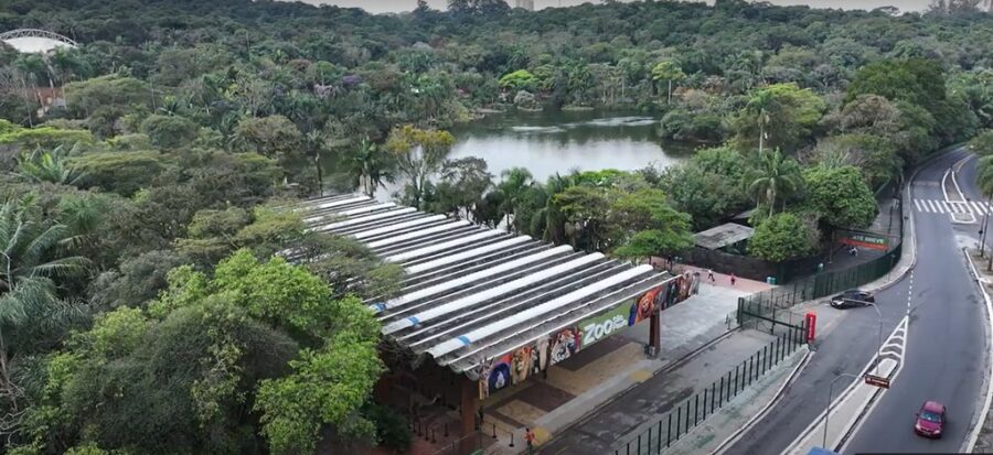 Zoológico e Jardim Botânico de SP terão entrada gratuita nesta quinta-feira (5) em comemoração ao Dia Mundial do Meio Ambiente