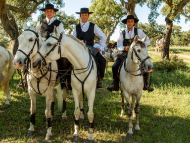Festivais no Alentejo: uma viagem pela cultura, fé e tradição