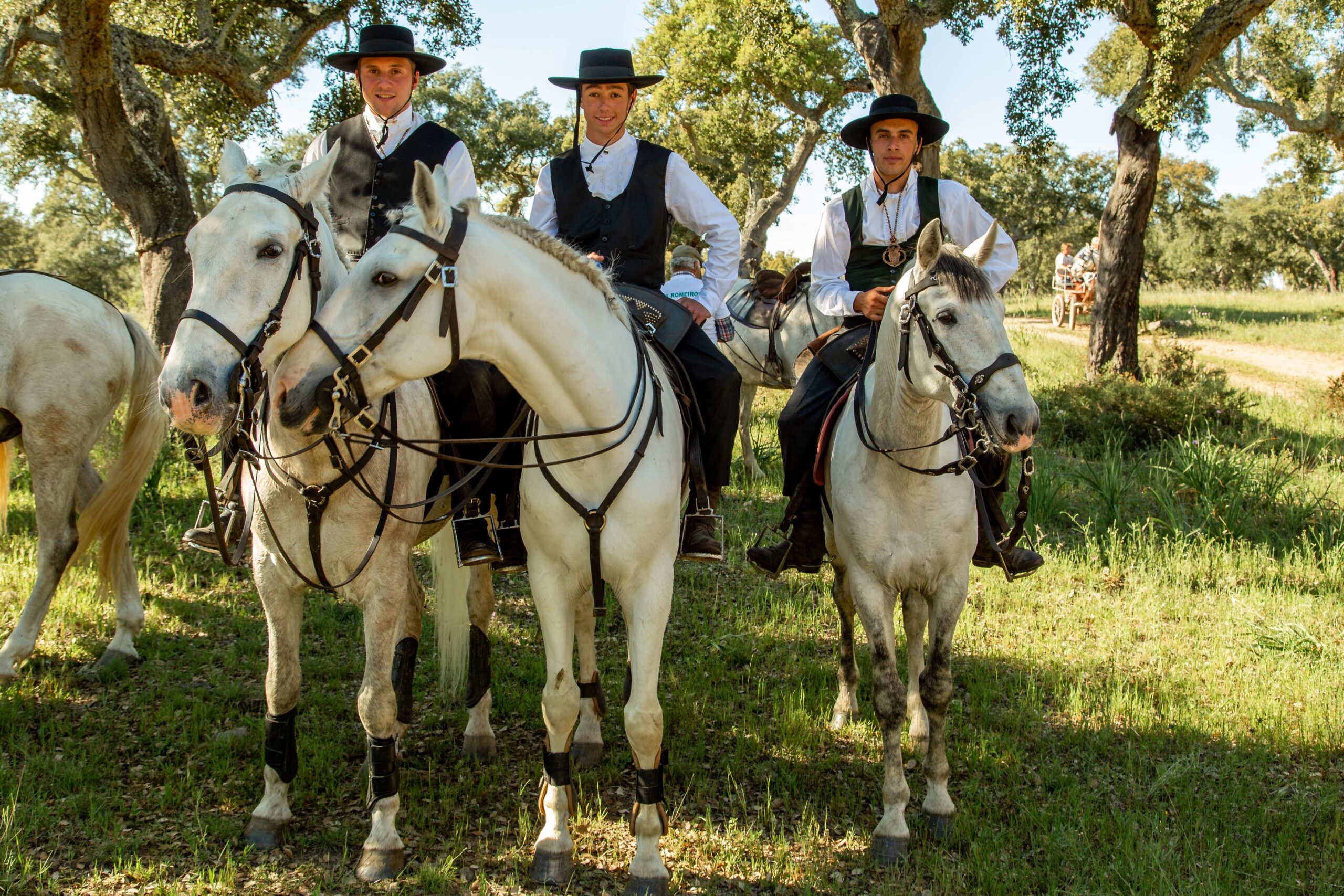 Festivais no Alentejo: uma viagem pela cultura, fé e tradição