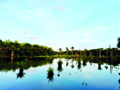 SANTUÁRIO ECOLÓGICO DO BRASIL!