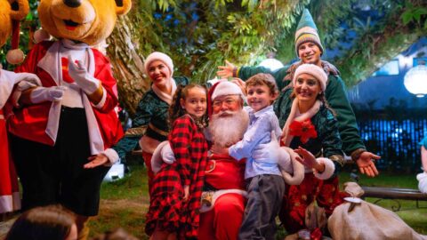 Hotel Ritta Höppner prepara experiências gastronômicas memoráveis para ceias de Natal e Ano Novo