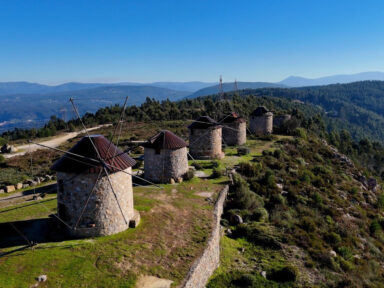 Coimbra: brasileiros se consolidam como segundo mercado de turismo