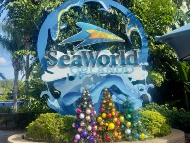SeaWorld Orlando mantém protagonismo ao unir entretenimento, educação e conservação marinha