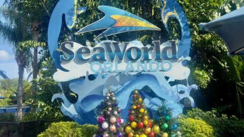 Sea World Orlando mantém protagonismo ao unir entretenimento, educação e conservação marinha