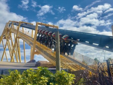 Busch Gardens se consolida como referência em aventura e conservação animal na Flórida