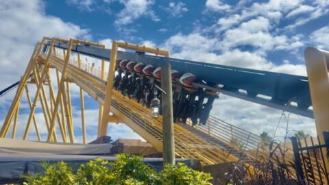 Busch Gardens se consolida como referência em aventura e conservação animal na Flórida