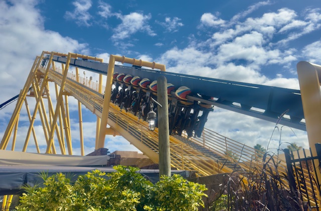 Busch Gardens se consolida como referência em aventura e conservação animal na Flórida