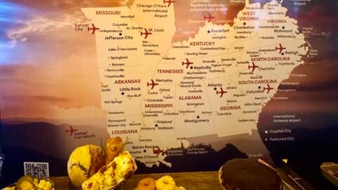 A Travel South USA apresenta o melhor da cultura, gastronomia, música e hospitalidade do Sul dos Estados Unidos